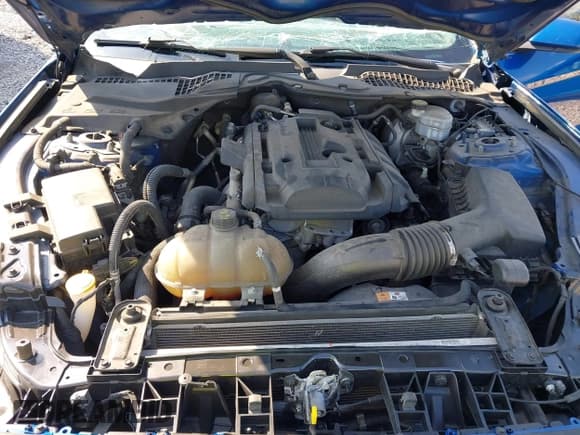 ✅ 2018 Ford Mustang EcoBoost • VIN: 1FA6P8TH9J5127801 • Lot: 43139052. Wystawiony na IAAI z przebiegiem 138 658 mil. Bezpłatny archiwum sprzedaży aukcyjnych z USA i szczegółowy raport historii pojazdu na DreamBid. Zdjęcie 10.