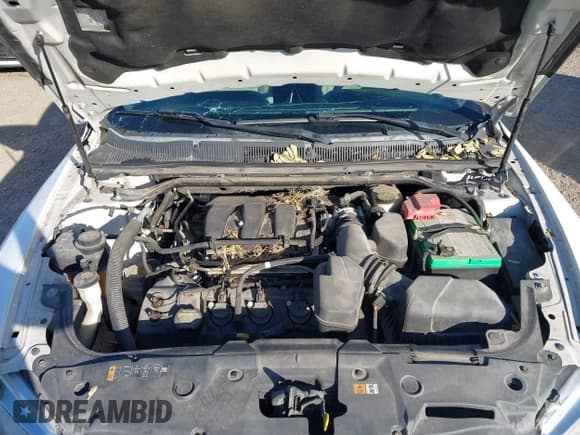 ✅ 2014 Ford Taurus SE • VIN: 1FAHP2D85EG117720 • Лот: 43704831. Опубликован ранее на IAAI с пробегом 120 745 миль. Бесплатный доступ к архиву аукционных продаж из США и подробный отчёт об истории автомобиля на DreamBid. Изображение 10.