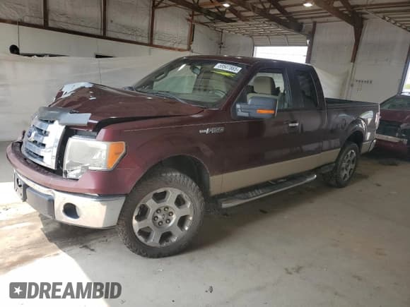 ✅ 2009 Ford F-150 XLT • VIN: 1FTRX12V59KB74830 • Lot: 59507865. Listed on Copart with 181,828 mi. Free auction sales archive from the USA and detailed vehicle history report at DreamBid. Image 1.