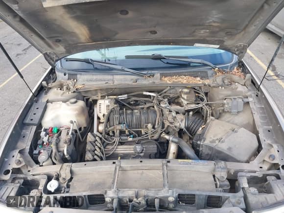 ✅ 2003 Buick LeSabre Custom • VIN: 1G4HP52K93U190156 • Lot: 43731965. Wystawiony na IAAI z przebiegiem Nie podano. Bezpłatny archiwum sprzedaży aukcyjnych z USA i szczegółowy raport historii pojazdu na DreamBid. Zdjęcie 10.