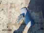 2021 Dodge Durango GT Plus с VIN 1C4RDJDG2MC579456, выставлен на аукционе IAAI как лот 43026250 с пробегом 66 639 миль миль и . История ставок и продаж доступна на DreamBid. Изображение 12.