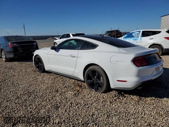 2022 Ford Mustang EcoBoost с VIN 1FA6P8TH5N5136355, выставлен на аукционе Copart как лот 87034355 с пробегом 39 968 миль миль и Списание • Salvage title. История ставок и продаж доступна на DreamBid. Изображение 2.