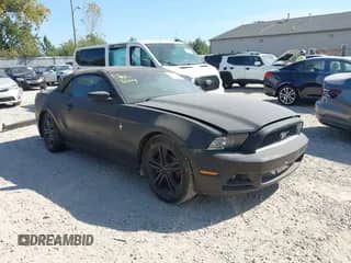 2014 Ford Mustang V6 с VIN 1ZVBP8EM5E5322512, выставлен на аукционе IAAI как лот 43192224 с пробегом Не указан миль и . История ставок и продаж доступна на DreamBid. Изображение 1.