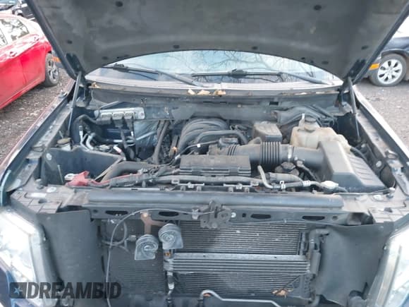 ✅ 2010 Ford F-150 XL • VIN: 1FTEW1E81AFA36612 • Lot: 43781730. Wystawiony na IAAI z przebiegiem 110 211 mil. Bezpłatny archiwum sprzedaży aukcyjnych z USA i szczegółowy raport historii pojazdu na DreamBid. Zdjęcie 10.