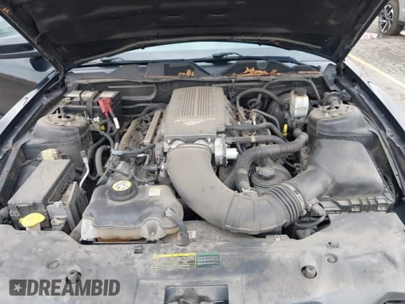 ✅ 2010 Ford Mustang GT • VIN: 1ZVBP8CH4A5127596 • Lot: 42257983. Listed on IAAI with 67,389 mi. Free auction sales archive from the USA and detailed vehicle history report at DreamBid. Image 10.