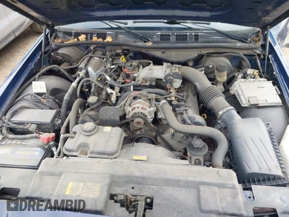 ✅ 2010 Ford Police Interceptor • VIN: 2FABP7BV1AX123420 • Лот: 41806513. Опубликован ранее на IAAI с пробегом Не указан. Бесплатный доступ к архиву аукционных продаж из США и подробный отчёт об истории автомобиля на DreamBid. Изображение 10.