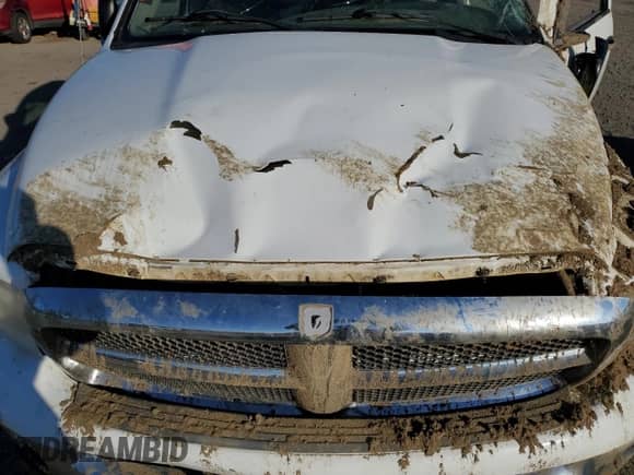 2005 Dodge 1500 ST с VIN 1D7HU16NX5J618417, выставлен на аукционе Copart как лот 83438654 с пробегом Не указан миль и Списание • Salvage title. История ставок и продаж доступна на DreamBid. Изображение 12.