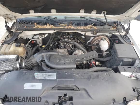 2005 GMC Sierra 1500 Work Truck с VIN 1GTEC14V95Z900651, выставлен на аукционе Copart как лот 79949344 с пробегом 263 520 миль миль и Чистый • Clean title. История ставок и продаж доступна на DreamBid. Изображение 11.