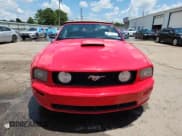 ✅ 2009 Ford Mustang GT • VIN: 1ZVHT85H795109897 • Lot: 64813875. Wystawiony na Copart z przebiegiem 97 313 mil. Bezpłatny archiwum sprzedaży aukcyjnych z USA i szczegółowy raport historii pojazdu na DreamBid. Zdjęcie 5.