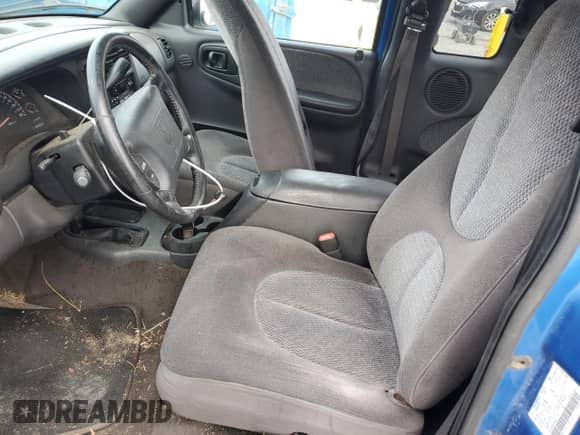 1999 Dodge Dakota SLT z VIN 1B7GG22X0XS285930, wystawiony jako Copart lot #79294374 z przebiegiem 189 988 mil mil oraz Nie do naprawy • Non repairable. Historia ofert i sprzedaży dostępna na DreamBid. Obrazek 7.