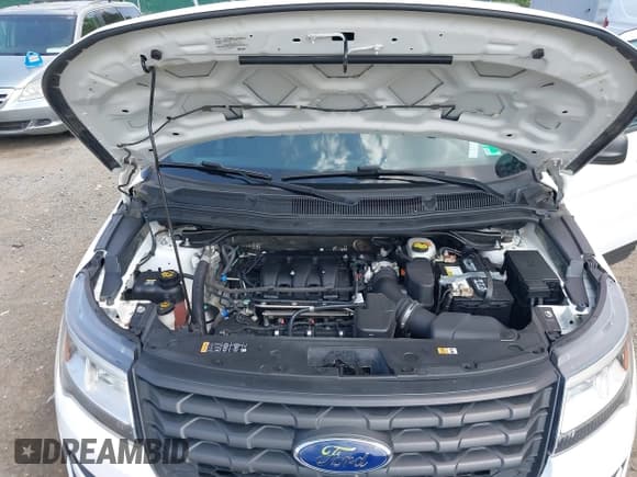 ✅ 2018 Ford Police Interceptor Utility • VIN: 1FM5K8AR7JGA15708 • Lot: 42801582. Wystawiony na IAAI z przebiegiem 129 942 mil. Bezpłatny archiwum sprzedaży aukcyjnych z USA i szczegółowy raport historii pojazdu na DreamBid. Zdjęcie 10.