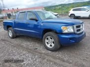 ✅ 2010 Dodge Dakota Bighorn/Lonestar • VIN: 1D7CW3GPXAS116883 • Lot: 42329654. Wystawiony na IAAI z przebiegiem 90 057 mil. Bezpłatny archiwum sprzedaży aukcyjnych z USA i szczegółowy raport historii pojazdu na DreamBid. Zdjęcie 1.