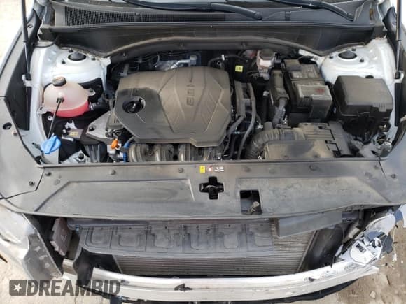 ✅ 2021 Hyundai Santa Fe SEL • VIN: 5NMS64AJ2MH321050 • Lot: 42007104. Wystawiony na Copart z przebiegiem 23 931 mil. Bezpłatny archiwum sprzedaży aukcyjnych z USA i szczegółowy raport historii pojazdu na DreamBid. Zdjęcie 12.