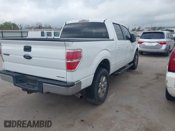 ✅ 2009 Ford F-150 XL • VIN: 1FTRW12879FA31755 • Лот: 43735445. Опубликован ранее на IAAI с пробегом 250 830 миль. Бесплатный доступ к архиву аукционных продаж из США и подробный отчёт об истории автомобиля на DreamBid. Изображение 4.