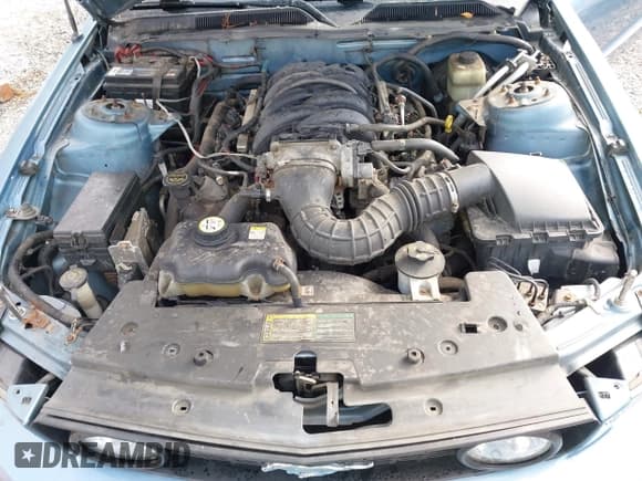 ✅ 2006 Ford Mustang GT Deluxe • VIN: 1ZVHT82H465228409 • Lot: 43337448. Wystawiony na IAAI z przebiegiem 196 538 mil. Bezpłatny archiwum sprzedaży aukcyjnych z USA i szczegółowy raport historii pojazdu na DreamBid. Zdjęcie 10.