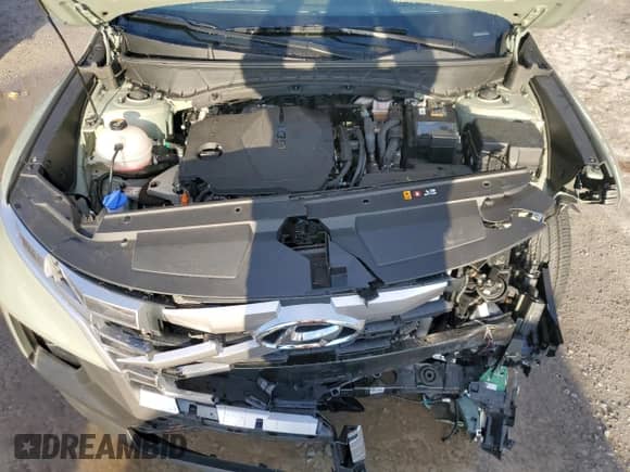 2024 Hyundai Santa Cruz SEL с VIN 5NTJBDAE2RH084646, выставлен на аукционе Copart как лот 83759604 с пробегом 17 014 миль миль и Списание • Salvage title. История ставок и продаж доступна на DreamBid. Изображение 11.