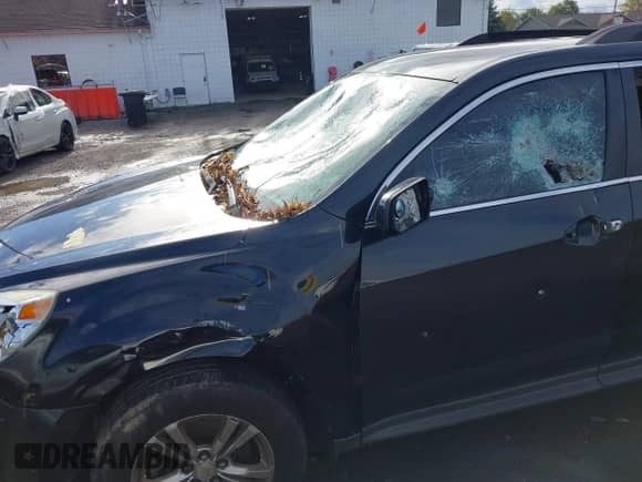 2011 Chevrolet Equinox 1LT с VIN 2CNALDEC0B6343788, выставлен на аукционе IAAI как лот 43521573 с пробегом 168 083 миль миль и . История ставок и продаж доступна на DreamBid. Изображение 15.