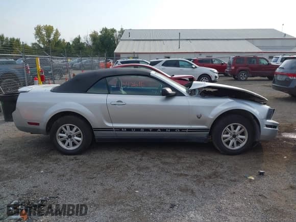 ✅ 2009 Ford Mustang • VIN: 1ZVHT84N095114611 • Lot: 43427616. Listed on IAAI with 81,282 mi. Free auction sales archive from the USA and detailed vehicle history report at DreamBid. Image 13.