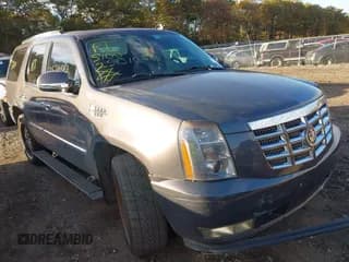 ✅ 2010 Cadillac Escalade Premium • VIN: 1GYUCCEF9AR118689 • Lot: 43523135. Listed on IAAI with Not provided. Free auction sales archive from the USA and detailed vehicle history report at DreamBid. Image 1.