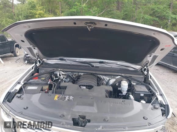 ✅ 2018 Chevrolet Tahoe LT • VIN: 1GNSCBKC3JR112590 • Lot: 42156796. Listed on IAAI with 124,120 mi. Free auction sales archive from the USA and detailed vehicle history report at DreamBid. Image 10.