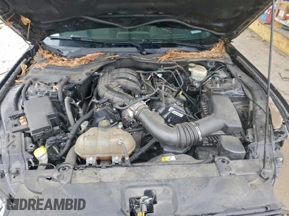 ✅ 2016 Ford Mustang V6 • VIN: 1FA6P8AM9G5333497 • Lot: 95834485. Wystawiony na Copart z przebiegiem 117 223 mil. Bezpłatny archiwum sprzedaży aukcyjnych z USA i szczegółowy raport historii pojazdu na DreamBid. Zdjęcie 11.