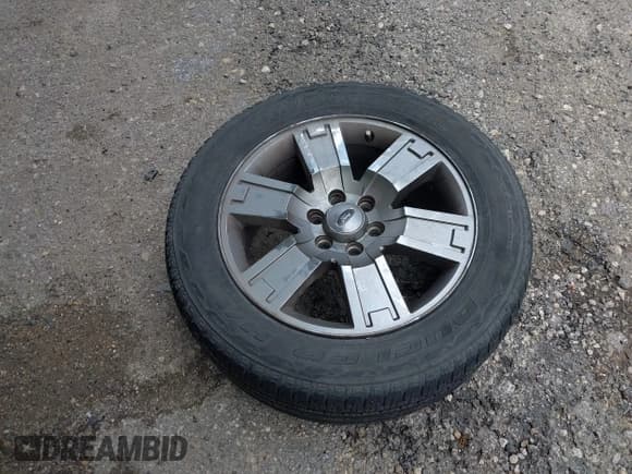 ✅ 2008 Ford Expedition Limited • VIN: 1FMFU19538LA75042 • Лот: 42508528. Опубликован ранее на IAAI с пробегом 192 105 миль. Бесплатный доступ к архиву аукционных продаж из США и подробный отчёт об истории автомобиля на DreamBid. Изображение 12.