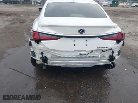 ✅ 2019 Lexus ES 300h Luxury • VIN: JTHB21B18K2004091 • Лот: 43337023. Опубликован ранее на IAAI с пробегом 144 634 миль. Бесплатный доступ к архиву аукционных продаж из США и подробный отчёт об истории автомобиля на DreamBid. Изображение 6.