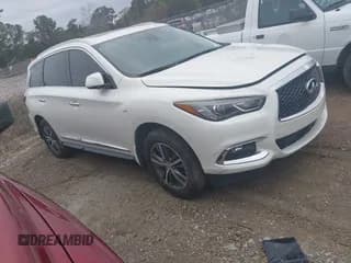 ✅ 2019 Infiniti QX60 Luxe • VIN: 5N1DL0MM9KC520538 • Lot: 43876204. Wystawiony na IAAI z przebiegiem 137 213 mil. Bezpłatny archiwum sprzedaży aukcyjnych z USA i szczegółowy raport historii pojazdu na DreamBid. Zdjęcie 1.