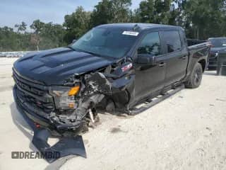 2022 Chevrolet Silverado 1500 Custom Trail Boss с VIN 3GCPDCED9NG526811, выставлен на аукционе Copart как лот 70156485 с пробегом 43 168 миль миль и Списание • Salvage title. История ставок и продаж доступна на DreamBid. Изображение 1.