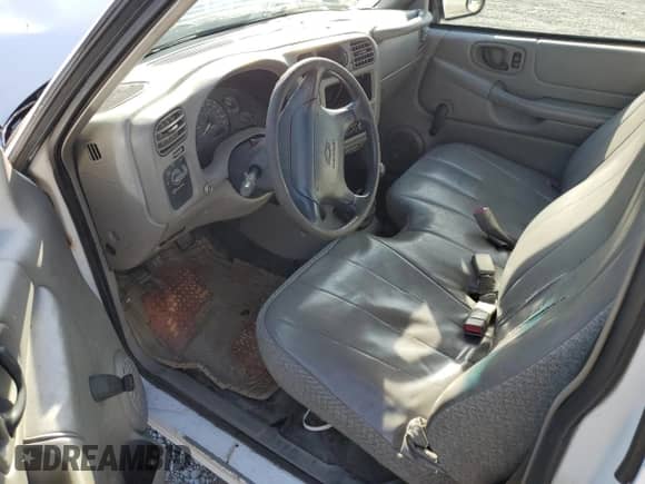 1998 Chevrolet S-10 LS z VIN 1GCCS1449WK251610, wystawiony jako Copart lot #73540304 z przebiegiem 276 404 mil mil oraz Szkoda całkowita • Salvage title. Historia ofert i sprzedaży dostępna na DreamBid. Obrazek 8.