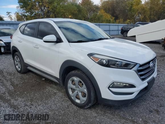 2017 Hyundai Tucson with VIN KM8J2CA47HU559613, listed as a Copart auction lot 87197395 with 95,502 mi miles and Salvage title. Bid and sale history available at DreamBid. Image 4.