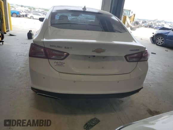 2019 Chevrolet Malibu Premier with VIN 1G1ZE5SX7KF201810, listed as a Copart auction lot 67012305 with 113,788 mi miles and Salvage title. Bid and sale history available at DreamBid. Image 6.