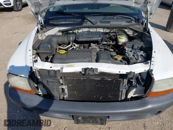 ✅ 2004 Dodge Dakota • VIN: 1D7FL16K94S570868 • Lot: 42248206. Listed on IAAI with 223,448 mi. Free auction sales archive from the USA and detailed vehicle history report at DreamBid. Image 10.