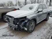 ✅ 2024 Hyundai Palisade Limited • VIN: KM8R5DGE5RU675314 • Лот: 85081144. Опубликован ранее на Copart с пробегом 11 004 миль. Бесплатный доступ к архиву аукционных продаж из США и подробный отчёт об истории автомобиля на DreamBid. Изображение 1.