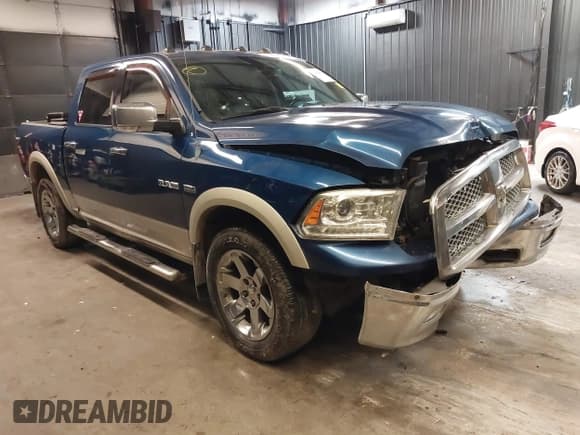 ✅ 2009 Dodge 1500 SLT • VIN: 1D3HV13T69S757414 • Lot: 42142983. Wystawiony na IAAI z przebiegiem 295 855 mil. Bezpłatny archiwum sprzedaży aukcyjnych z USA i szczegółowy raport historii pojazdu na DreamBid. Zdjęcie 1.