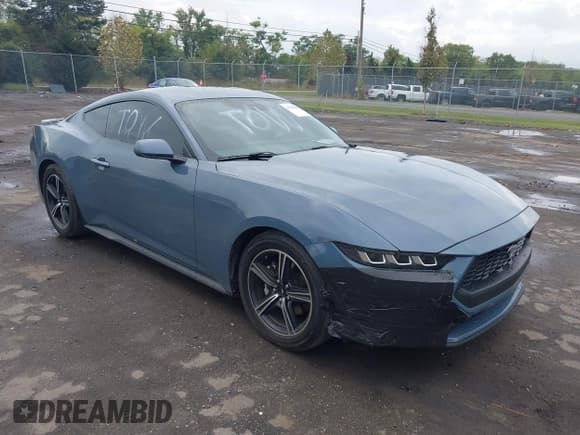✅ 2024 Ford Mustang EcoBoost Premium • VIN: 1FA6P8TH5R5147149 • Lot: 43300846. Listed on IAAI with 17,425 mi. Free auction sales archive from the USA and detailed vehicle history report at DreamBid. Image 1.