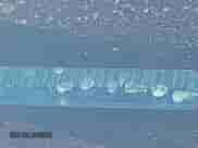 2016 Chevrolet Traverse LT z VIN 1GNKVHKD1GJ232420, wystawiony jako IAAI lot #43446663 z przebiegiem 206 500 mil mil oraz . Historia ofert i sprzedaży dostępna na DreamBid. Obrazek 18.