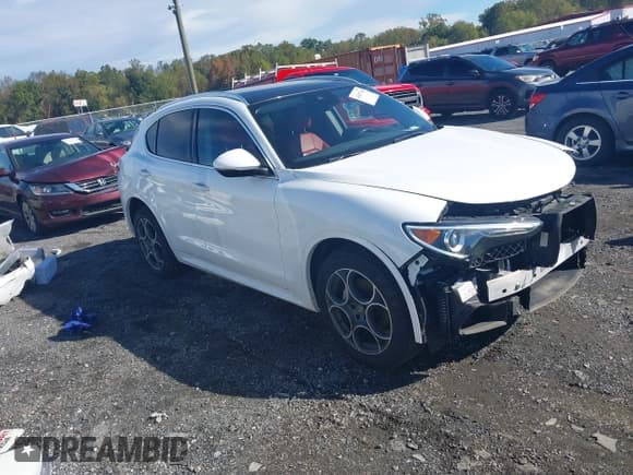✅ 2020 Alfa Romeo Stelvio Ti • VIN: ZASPAKBN6L7C91932 • Lot: 43447742. Listed on IAAI with 41,742 mi. Free auction sales archive from the USA and detailed vehicle history report at DreamBid. Image 13.
