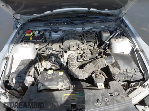 ✅ 2007 Ford Mustang Deluxe • VIN: 1ZVFT80N475362189 • Lot: 42223867. Listed on IAAI with 119,108 mi. Free auction sales archive from the USA and detailed vehicle history report at DreamBid. Image 10.