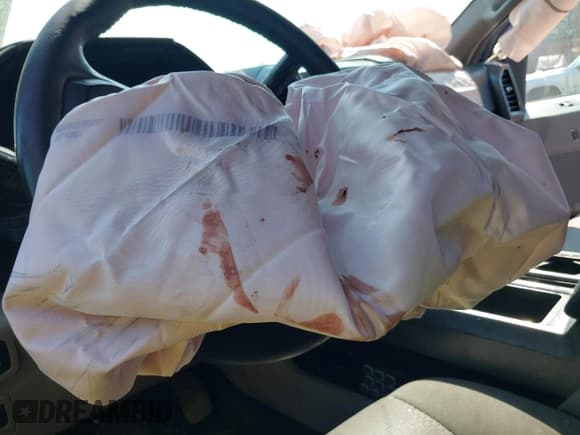 ✅ 2017 Ford F-150 XL • VIN: 1FTEW1CP7HKE10281 • Lot: 43227084. Wystawiony na IAAI z przebiegiem Nie podano. Bezpłatny archiwum sprzedaży aukcyjnych z USA i szczegółowy raport historii pojazdu na DreamBid. Zdjęcie 18.