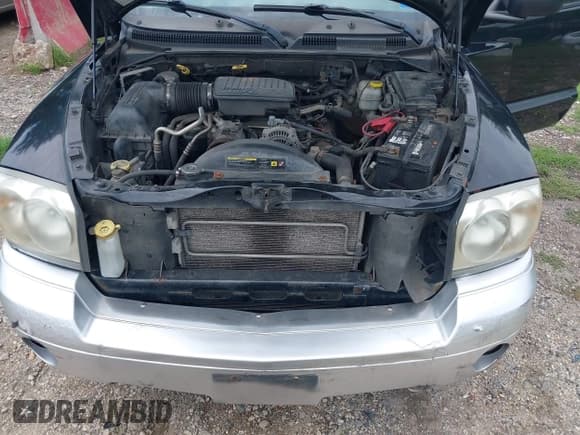 ✅ 2005 Dodge Dakota SLT • VIN: 1D7HW48N35S159220 • Lot: 42773291. Listed on IAAI with 324,365 mi. Free auction sales archive from the USA and detailed vehicle history report at DreamBid. Image 10.