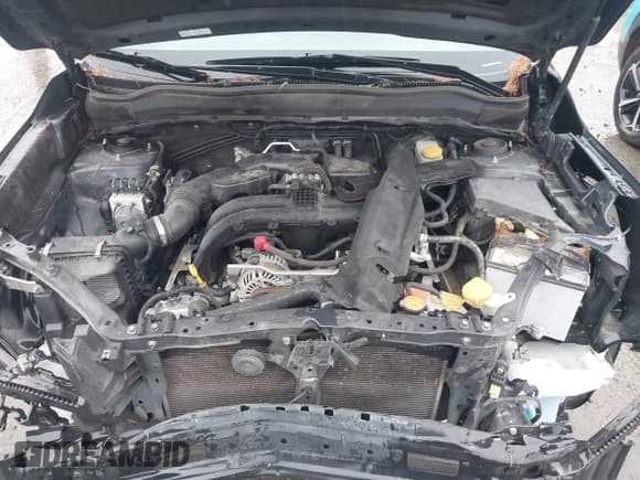 ✅ 2017 Subaru Forester • VIN: JF2SJAAC3HH509700 • Lot: 43674050. Wystawiony na IAAI z przebiegiem 103 408 mil. Bezpłatny archiwum sprzedaży aukcyjnych z USA i szczegółowy raport historii pojazdu na DreamBid. Zdjęcie 10.