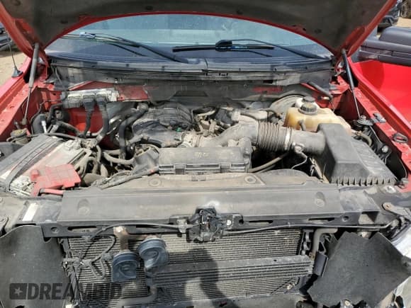 ✅ 2011 Ford F-150 XL • VIN: 1FTMF1CM4BKD83405 • Lot: 52130445. Listed on Copart with 171,668 mi. Free auction sales archive from the USA and detailed vehicle history report at DreamBid. Image 11.