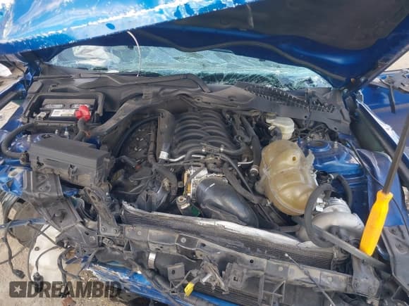 ✅ 2017 Ford Mustang GT • VIN: 1FA6P8CF1H5322980 • Lot: 43339612. Listed on IAAI with Not provided. Free auction sales archive from the USA and detailed vehicle history report at DreamBid. Image 10.