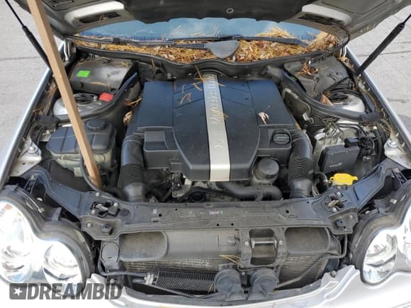 ✅ 2003 Mercedes-Benz C 240 • VIN: WDBRF61J43A470870 • Lot: 92164705. Wystawiony na Copart z przebiegiem Nie podano. Bezpłatny archiwum sprzedaży aukcyjnych z USA i szczegółowy raport historii pojazdu na DreamBid. Zdjęcie 11.