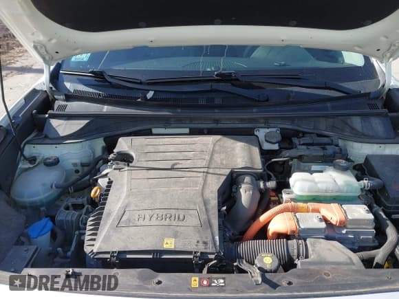 ✅ 2019 Kia Niro EX • VIN: KNDCC3LC1K5297586 • Lot: 43448987. Wystawiony na IAAI z przebiegiem 67 759 mil. Bezpłatny archiwum sprzedaży aukcyjnych z USA i szczegółowy raport historii pojazdu na DreamBid. Zdjęcie 10.