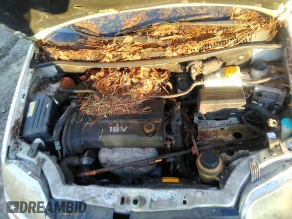 ✅ 2007 Chevrolet Aveo LS • VIN: KL1TD66617B696308 • Lot: 41142549. Wystawiony na IAAI z przebiegiem Nie podano. Bezpłatny archiwum sprzedaży aukcyjnych z USA i szczegółowy raport historii pojazdu na DreamBid. Zdjęcie 10.