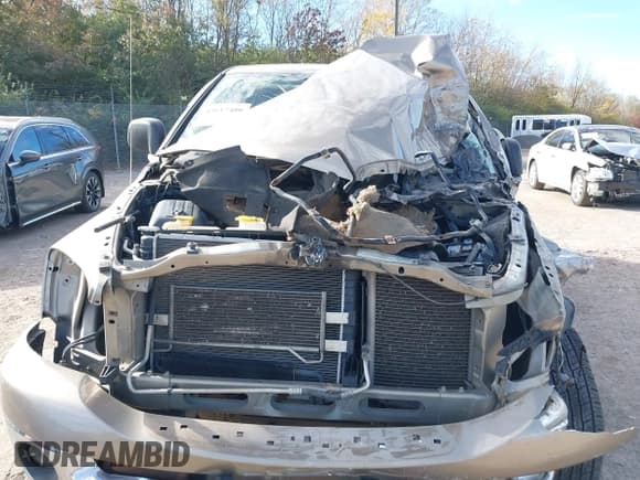 ✅ 2008 Dodge 1500 ST • VIN: 1D7HU18218J130917 • Lot: 43617480. Wystawiony na IAAI z przebiegiem 208 586 mil. Bezpłatny archiwum sprzedaży aukcyjnych z USA i szczegółowy raport historii pojazdu na DreamBid. Zdjęcie 10.