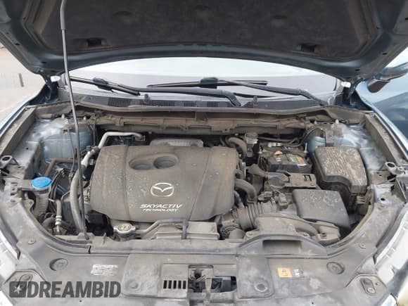 ✅ 2016 Mazda CX-5 Touring • VIN: JM3KE2CY0G0752015 • Lot: 43774015. Wystawiony na IAAI z przebiegiem 150 233 mil. Bezpłatny archiwum sprzedaży aukcyjnych z USA i szczegółowy raport historii pojazdu na DreamBid. Zdjęcie 10.