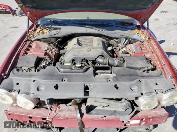 ✅ 2008 Jaguar XJ 8 LWB • VIN: SAJWA79B58SH20211 • Лот: 46951055. Опубликован ранее на Copart с пробегом 144 655 миль. Бесплатный доступ к архиву аукционных продаж из США и подробный отчёт об истории автомобиля на DreamBid. Изображение 11.